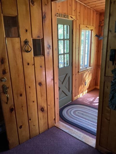 8842 Jackson Hole Trl, Grayling, MI 49738 - doorway to outside with wooden walls, carpet flooring, and baseboards