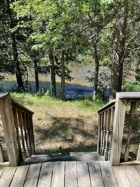 8842 Jackson Hole Trl, Grayling, MI 49738 - view of deck