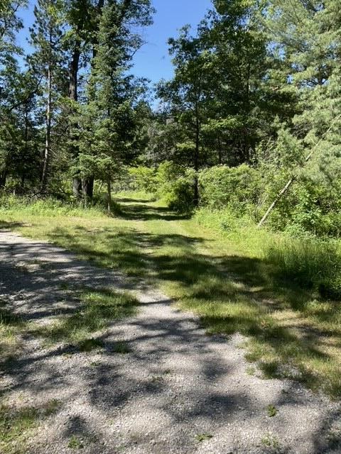 8842 Jackson Hole Trl, Grayling, MI 49738 - view of street
