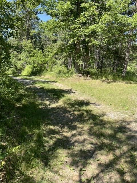 8842 Jackson Hole Trl, Grayling, MI 49738 - view of wooded area