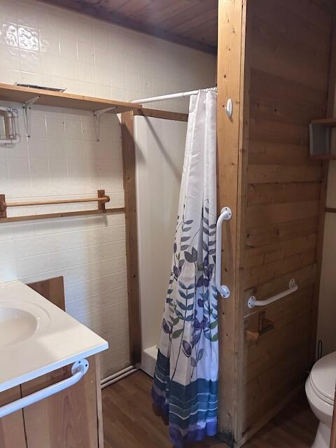 3120 Wilds Rd, Ossineke, MI 49766 - bathroom with wood finished floors, curtained shower, vanity, and toilet