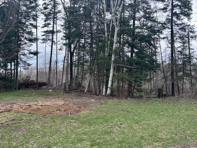 3120 Wilds Rd, Ossineke, MI 49766 - view of undeveloped land