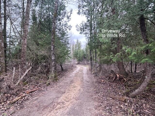 3120 Wilds Rd, Ossineke, MI 49766 - view of street with a view of trees
