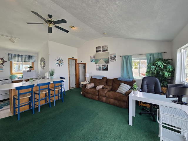204 Broadway Rd, Houghton Lake, MI 48629 - living area featuring a desk, lofted ceiling, a ceiling fan, a textured ceiling, and carpet