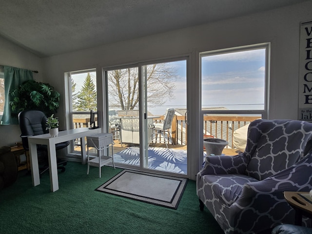 204 Broadway Rd, Houghton Lake, MI 48629 - sunroom / solarium with lofted ceiling
