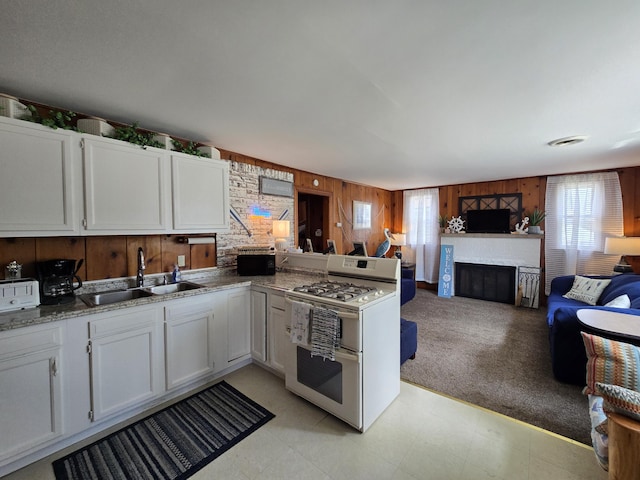 204 Broadway Rd, Houghton Lake, MI 48629 - kitchen with double oven range, a sink, wood walls, a fireplace, and open floor plan