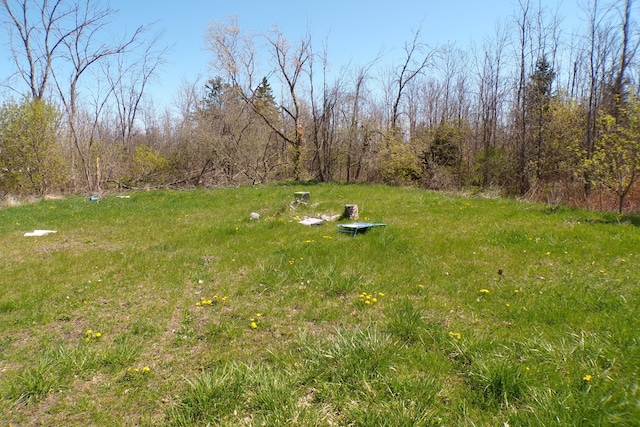 1220 Court St, Cheboygan, MI 49721 - view of yard
