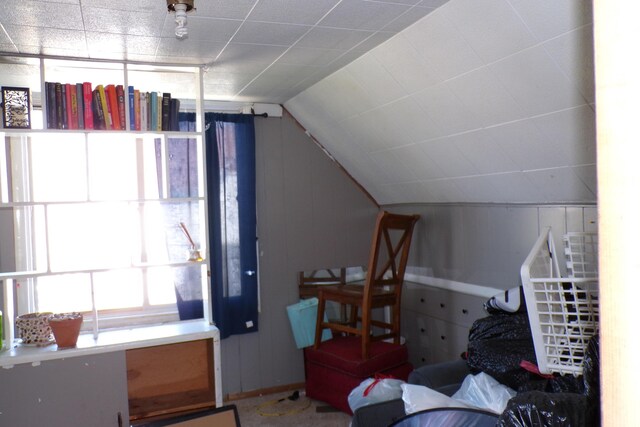 1220 Court St, Cheboygan, MI 49721 - bedroom featuring lofted ceiling