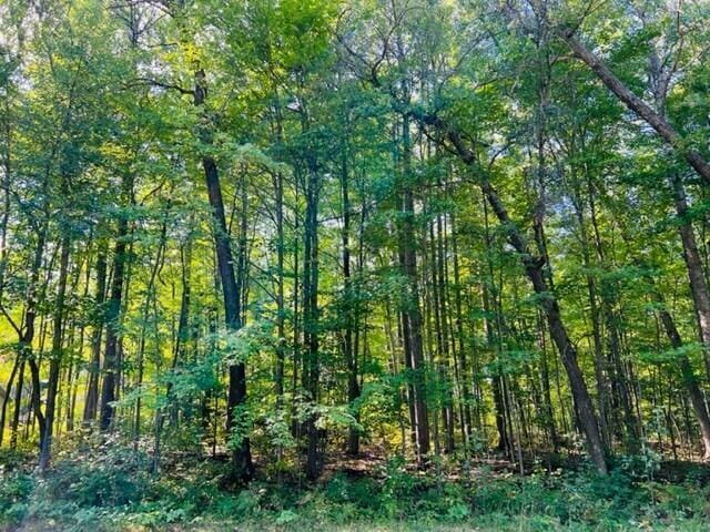 LOT27 Fairway Dr, Roscommon, MI 48653