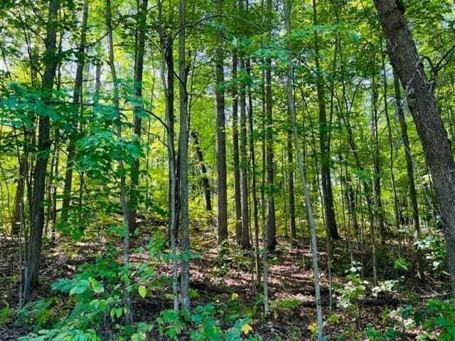 LOT27 Fairway Dr, Roscommon, MI 48653