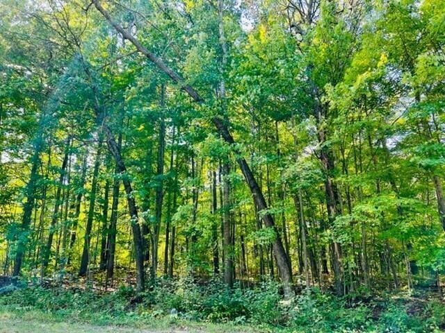 LOT27 Fairway Dr, Roscommon, MI 48653