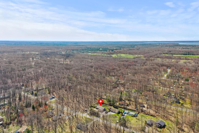 134 Heritage Way, Roscommon, MI 48653 - photo 49