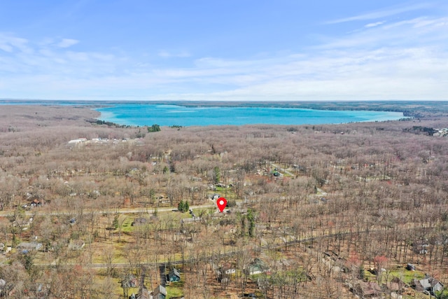 134 Heritage Way, Roscommon, MI 48653 - photo 50