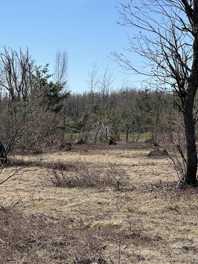 PARCEL2 Old Stump Rd, Gaylord, MI 49735