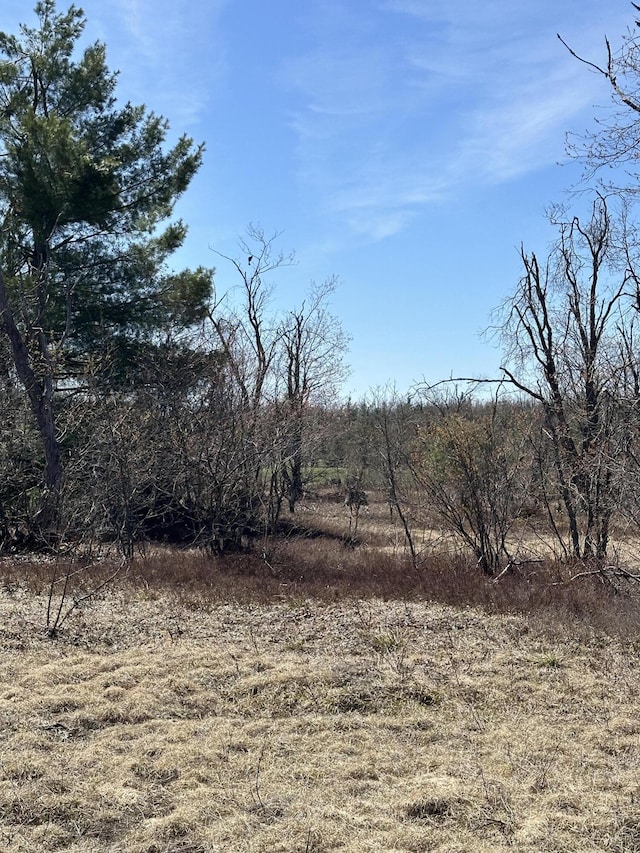 PARCEL2 Old Stump Rd, Gaylord, MI 49735