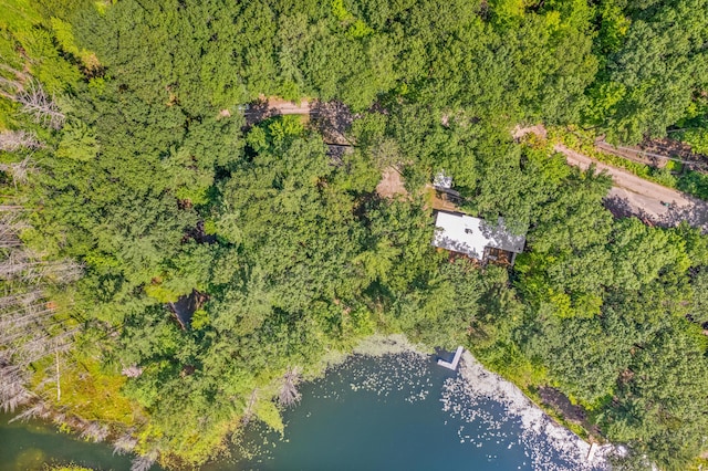 2403 N Perch Lake Dr, Gaylord, MI 49735 - bird's eye view of a large body of water