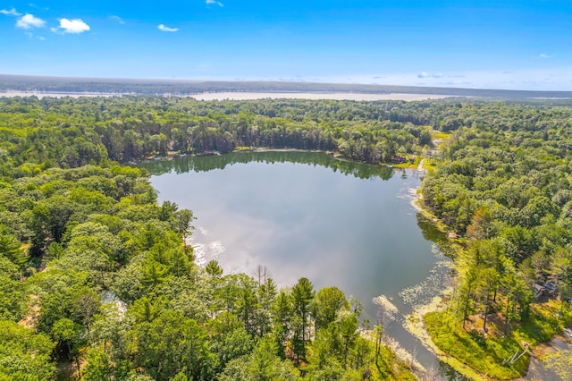 2403 N Perch Lake Dr, Gaylord, MI 49735 - drone / aerial view of a forest and a nearby body of water
