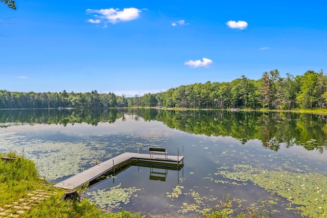 2403 N Perch Lake Dr, Gaylord, MI 49735 - dock with a wooded view and a water view