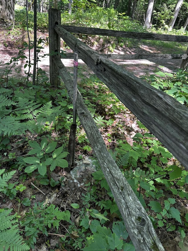 2403 N Perch Lake Dr, Gaylord, MI 49735 - view of undeveloped land