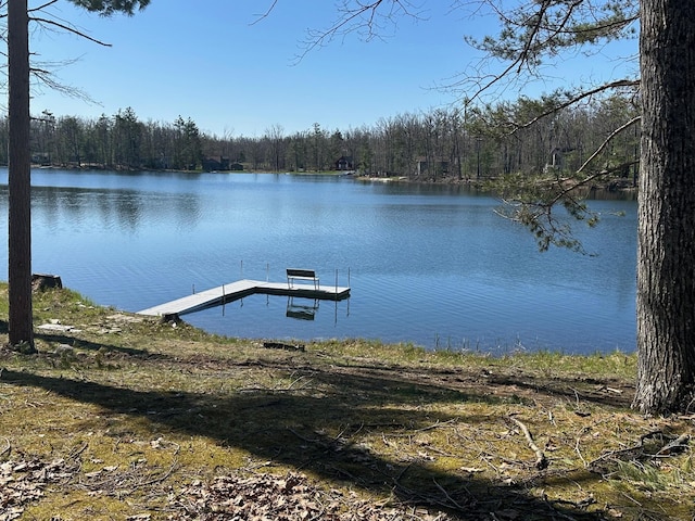 2403 N Perch Lake Dr, Gaylord, MI 49735 - dock featuring a wooded view and a water view