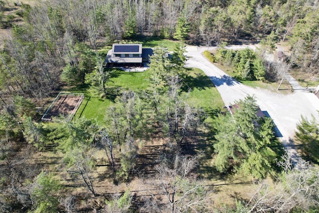 3400 Thornapple Trl, Lewiston, MI 49756 - view of subject property