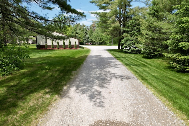3400 Thornapple Trl, Lewiston, MI 49756 - view of dirt / gravel driveway