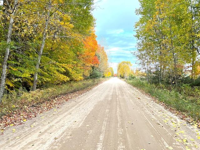 LOT16 Trout Creek Rd, Cheboygan, MI 49721