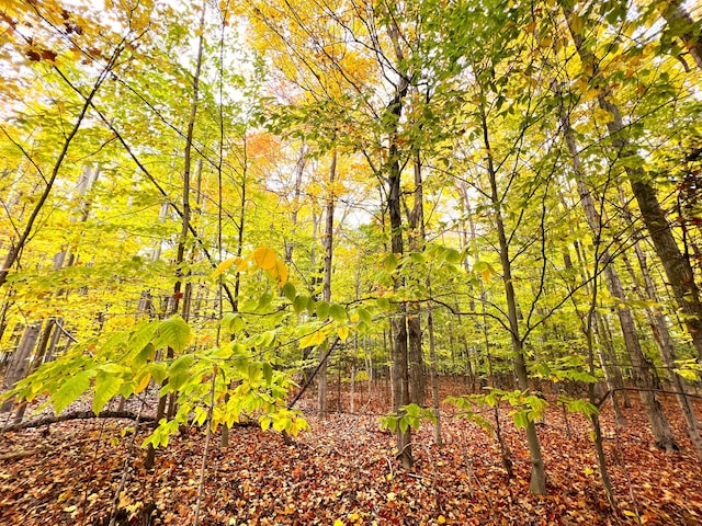 LOT16 Trout Creek Rd, Cheboygan, MI 49721