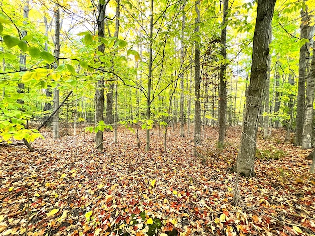 LOT16 Trout Creek Rd, Cheboygan, MI 49721