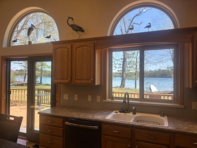 kitchen with dishwasher, a sink, plenty of natural light, and dark countertops