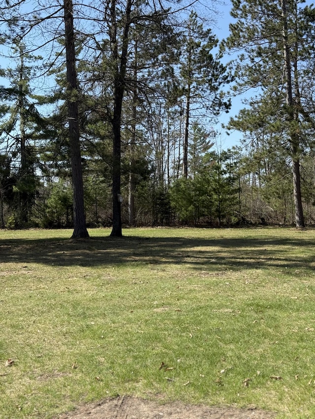 4210 County Road 491, Lewiston, MI 49756 - view of grassy yard