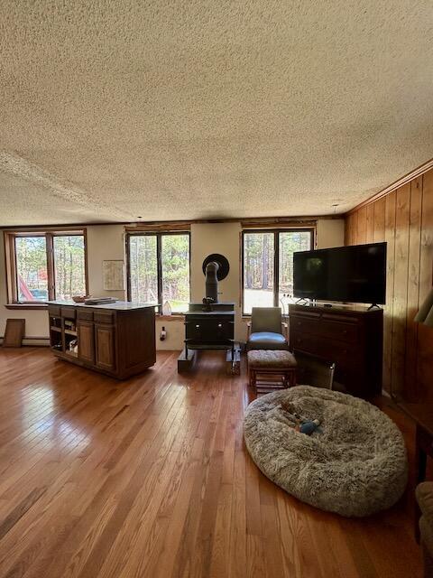 2165 E Cherry Creek Rd, Fairview, MI 48621 - living area featuring a textured ceiling, a wood stove, hardwood / wood-style flooring, a baseboard radiator, and wooden walls