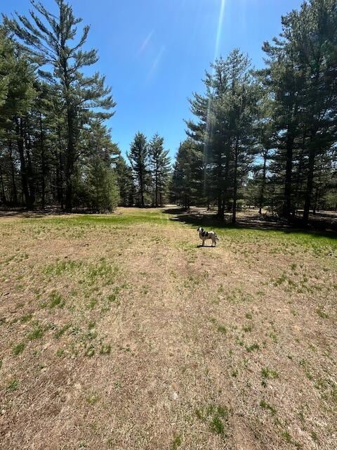 2165 E Cherry Creek Rd, Fairview, MI 48621 - view of green lawn