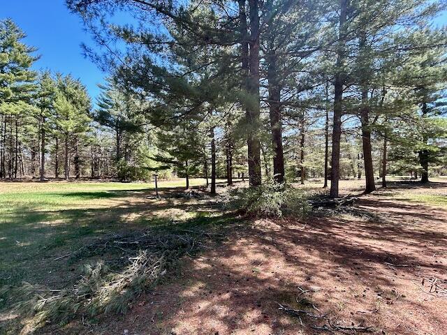 2165 E Cherry Creek Rd, Fairview, MI 48621 - view of yard