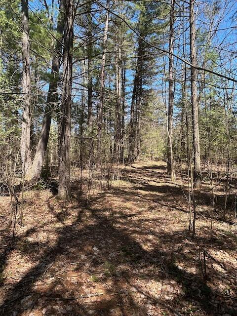 2165 E Cherry Creek Rd, Fairview, MI 48621 - view of local wilderness