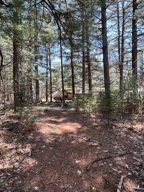 2165 E Cherry Creek Rd, Fairview, MI 48621 - view of local wilderness