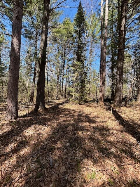 2165 E Cherry Creek Rd, Fairview, MI 48621 - view of tree filled area