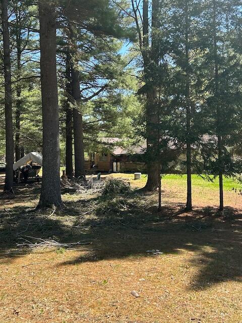 2165 E Cherry Creek Rd, Fairview, MI 48621 - view of yard