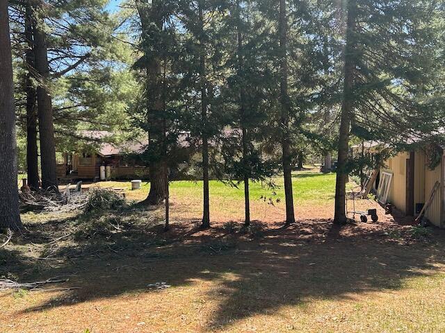2165 E Cherry Creek Rd, Fairview, MI 48621 - view of yard