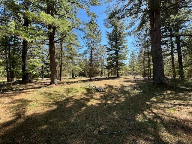 2165 E Cherry Creek Rd, Fairview, MI 48621 - view of local wilderness