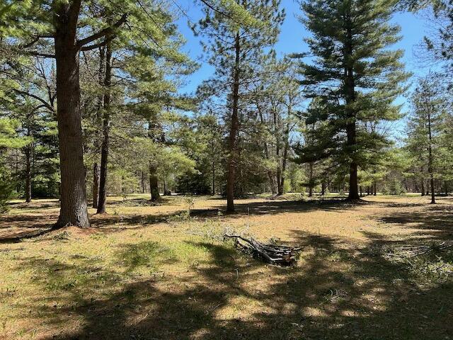 2165 E Cherry Creek Rd, Fairview, MI 48621 - view of yard
