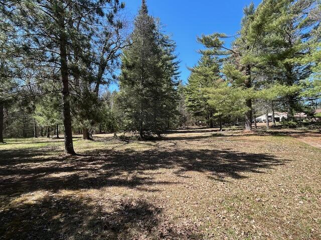 2165 E Cherry Creek Rd, Fairview, MI 48621 - view of nature