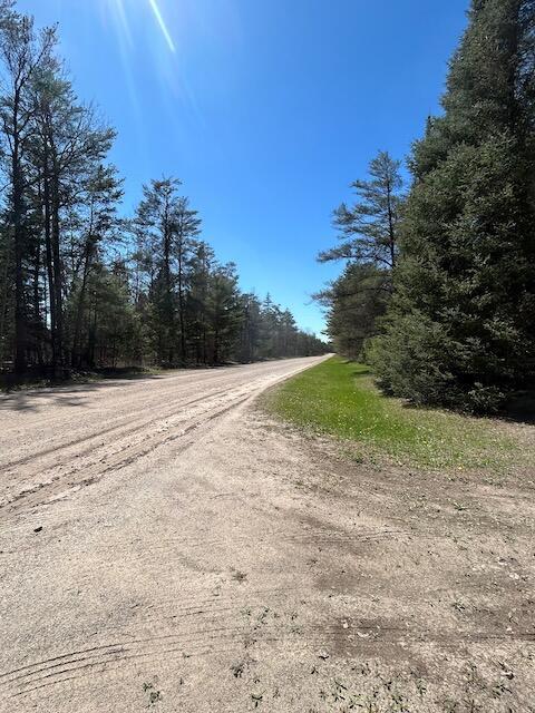 2165 E Cherry Creek Rd, Fairview, MI 48621 - view of dirt / gravel road