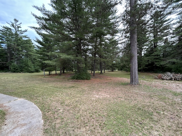 2165 E Cherry Creek Rd, Fairview, MI 48621 - photo 81