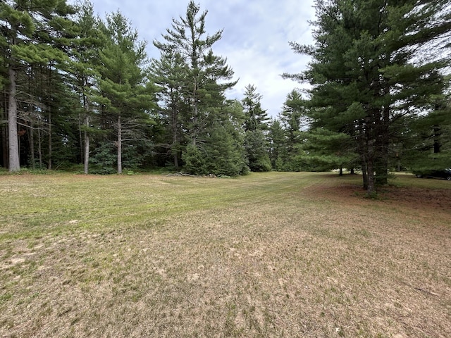 2165 E Cherry Creek Rd, Fairview, MI 48621 - photo 82