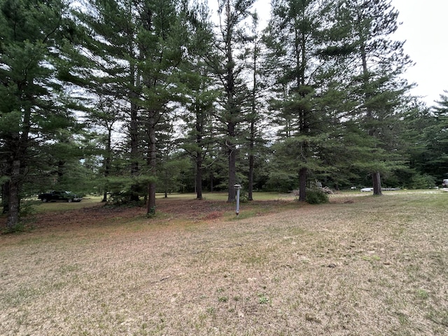 2165 E Cherry Creek Rd, Fairview, MI 48621 - photo 83