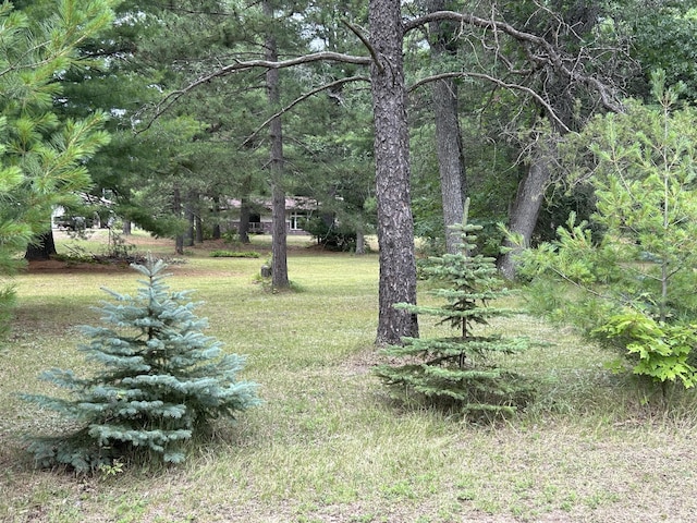 2165 E Cherry Creek Rd, Fairview, MI 48621 - photo 85