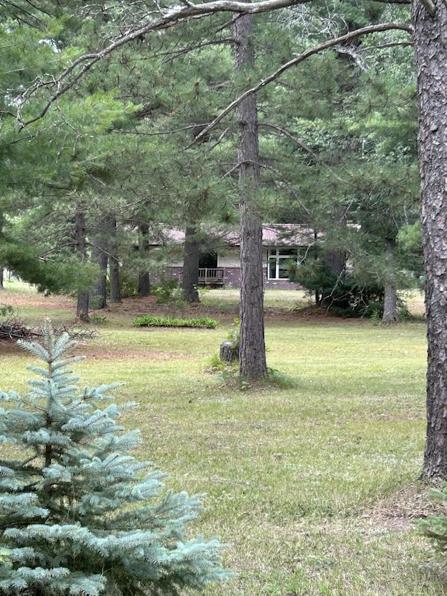 2165 E Cherry Creek Rd, Fairview, MI 48621 - photo 86