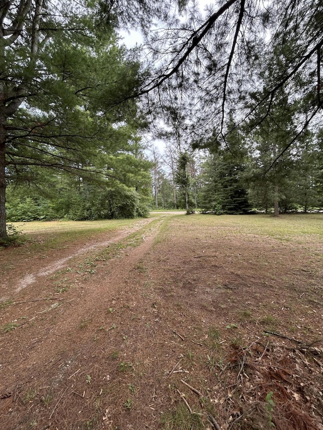 2165 E Cherry Creek Rd, Fairview, MI 48621 - photo 84