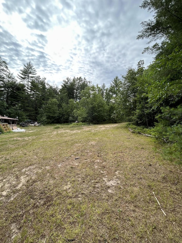 2165 E Cherry Creek Rd, Fairview, MI 48621 - photo 78
